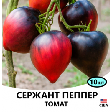 Насіння томат Червона калина (груша червона) високорослий (1г) опис, характеристики, відгуки