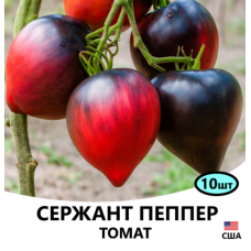 Насіння томат Сержант Пеппер низькорослий (15 нас.)