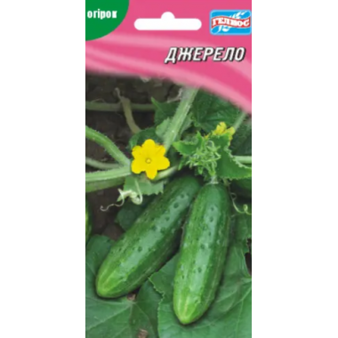 Семена огурец Джерело пчелоопыляемый (1г) описание, отзывы, характеристики Семена огурец Джерело пчелоопыляемый (1г) описание, отзывы, характеристики