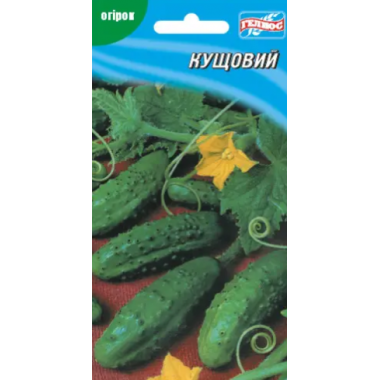 Насіння огірок Кущовий корнішон(1г) опис, характеристики, відгуки Насіння огірок Кущовий корнішон(1г) опис, характеристики, відгуки