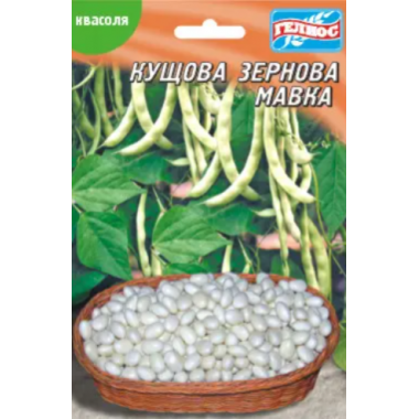 Насіння квасоля мавка кущова зернова (максипакет 20г) опис, характеристики, відгуки