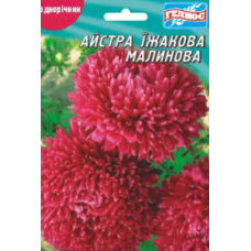 Насіння айстра Їжакова малинова 100 насінин)
