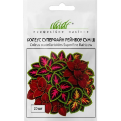 Семена колеус Суперфайн Рейнбоу смесь (20 сем.)