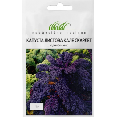 Насіння капуста листова Кале скарлет (1г) опис, характеристики, відгуки
