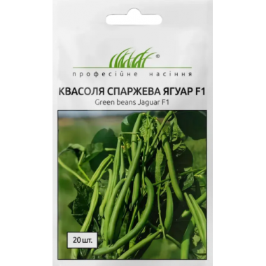 Насіння квасоля Ягуар кущова спаржева (20 насінин) опис, характеристики, відгуки Насіння квасоля Ягуар кущова спаржева (20 насінин) опис, характеристики, відгуки