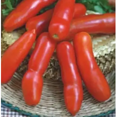Насіння томат Дрова (Жигало) низькорослий до 140г (Zip 15 насінин) Насіння томат Дрова (Жигало) низькорослий до 140г (Zip 15 насінин)