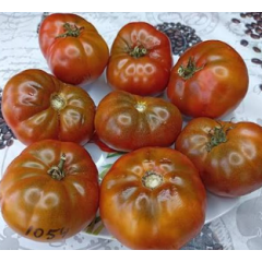 Семена томат Гном Король Арамис низкорослый шоколадный 150-300г (10 сем.)