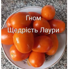Семена томат Гном Щедрость Лауры низкорослый (15 сем.)