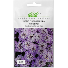 Насіння Іберіс Гібралтаріка багаторічний ліловий (0,2г)