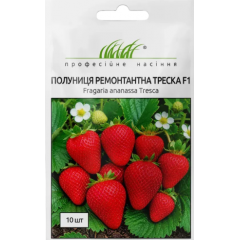 Семена клубника Треска ремонтантная (10 шт.)