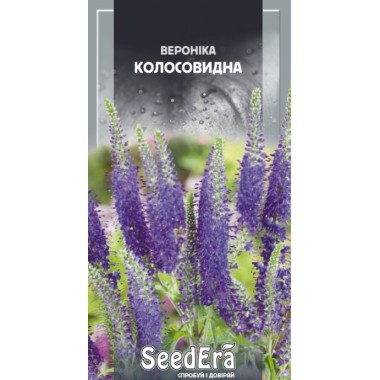 Семена вероника Колосовидная (0,1г) описание, отзывы, характеристики