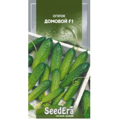 Семена огурец Домовой самоопыляющийся (10 семян)