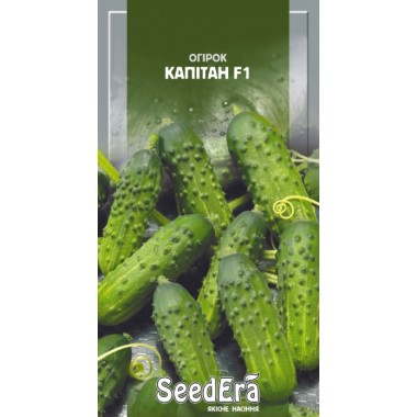 Семена огурец Капитан (10 семян) описание, отзывы, характеристики