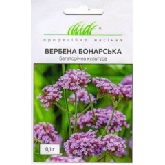 Семена вербена многолетняя Бонарская (0,1г)