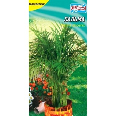 Семена пальма Финиковая комнатная (3 сем.) описание, отзывы, характеристики