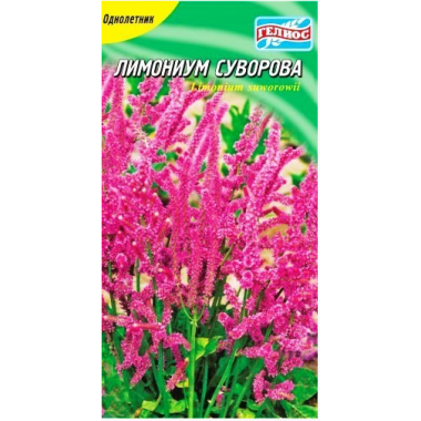 Насіння статиця (лімоніум) Суворова (0,05г) опис, характеристики, відгуки