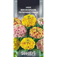 Насіння цинія високоросла елегантна Пепермінт суміш  (0,5г)