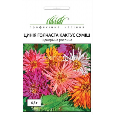 Насіння цинія Кактус голчаста суміш (0,5г) опис, характеристики, відгуки