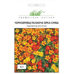 Насіння чорнобривці  вузьколисті Палаюча зірка суміш (0,2г) 