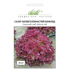 Семена салат Конкорд полуголовчатый (30 семян)