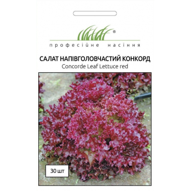 Насіння салат Конкорд напівголовчатий (30 нас.) опис, характеристики, відгуки