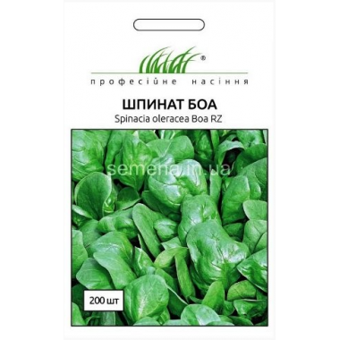 Насіння шпинат Боа весняно-осінній (200 насінин) опис, характеристики, відгуки