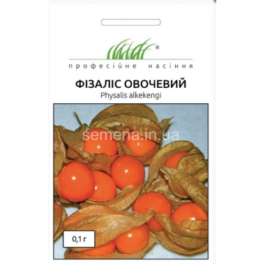 Насіння Фізаліс овочевий (0,1г) опис, характеристики, відгуки