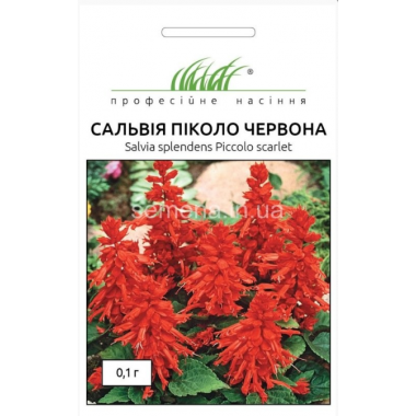 Насіння сальвія блискуча Піколо червона (0,1г) опис, характеристики, відгуки