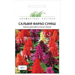 Семена сальвия блестящая Фарао смесь (0,1г)