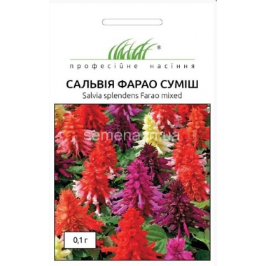 Насіння сальвія блискуча Фарао суміш (0,1г) опис, характеристики, відгуки