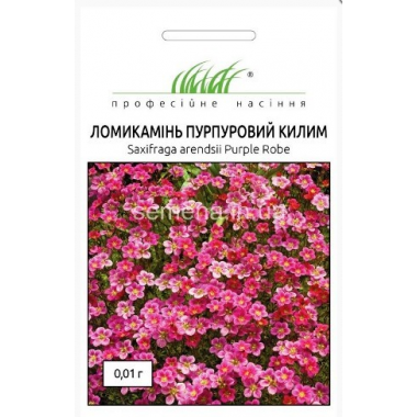 Насіння ломикамінь Пурпуровий килим (0,01г) опис, характеристики, відгуки