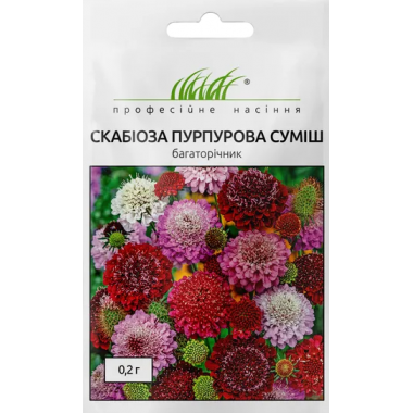 Насіння скабіоза багаторічна Пурпурова суміш (0,2г) опис, характеристики, відгуки