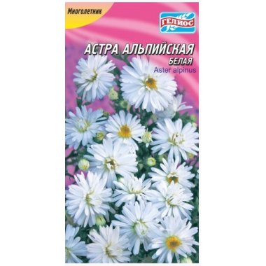 Насіння айстра Альпійська біла (0,1г) опис, характеристики, відгуки