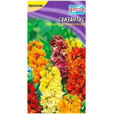 Семена схизантус садовый смесь (0,1г)