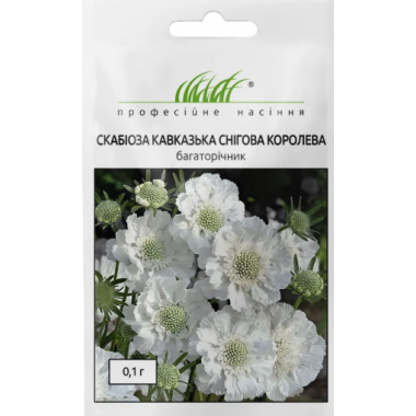 Насіння скабіоза кавказька Снігова королева (0,1г) опис, характеристики, відгуки