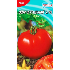 Насіння томат Волгоградський 5\95 середньорослий ранній посухлстійкий 100-150г (100 насінин)