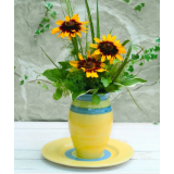 Насіння рудбекія ворсиста Денвер Дейзі ( Zip-пакет 10 нас.) опис, характеристики, відгуки