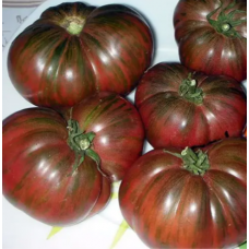 Насіння томат Гном Фестиваль Аделаіди низькорослий (15 нас.)