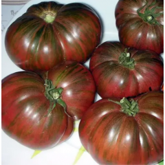 Насіння томат Гном Фестиваль Аделаіди низькорослий (15 нас.)