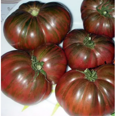 Насіння томат Гном Фестиваль Аделаіди низькорослий (15 нас.) опис, характеристики, відгуки Насіння томат Гном Фестиваль Аделаіди низькорослий (15 нас.) опис, характеристики, відгуки