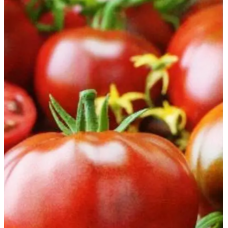 Насіння томат Гном Радінілі великоплідний до 300г (15 нас.)