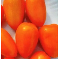 Насіння томат Гном Щедрість Лаури низькорослий (15 нас.) Насіння томат Гном Щедрість Лаури низькорослий (15 нас.)