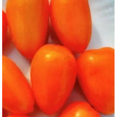 Насіння томат Гном Щедрість Лаури низькорослий (15 нас.) опис, характеристики, відгуки