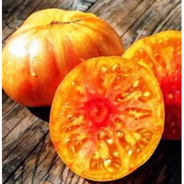 Насіння томат Гном Конфетті низькорослий великоплідний до 300г (15 нас.) опис, характеристики, відгуки