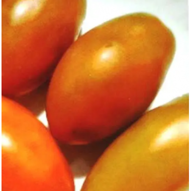 Насіння томат Гном Око тигра низькорослий сливка (15 нас.) опис, характеристики, відгуки