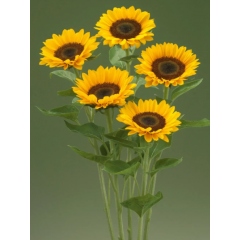 Насіння соняшник декоративний Прем'єр F1 orange (Zip-пакет 5 насінин) Насіння соняшник декоративний Прем'єр F1 orange (Zip-пакет 5 насінин)