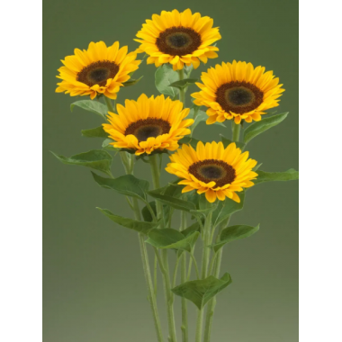 Насіння соняшник декоративний Прем'єр F1 orange (Zip-пакет 5 насінин) опис, характеристики, відгуки Насіння соняшник декоративний Прем'єр F1 orange (Zip-пакет 5 насінин) опис, характеристики, відгуки