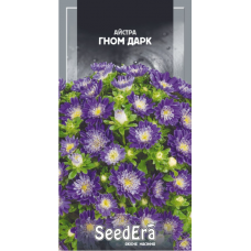 Семена астра низкорослая Гном Дарк (0,25г)