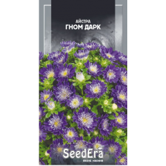 Насіння айстра низькоросла Гном Дарк (0,25г)