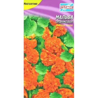 Насіння мальва махрова помаранчева (0,1г) опис, характеристики, відгуки Насіння мальва махрова помаранчева (0,1г) опис, характеристики, відгуки